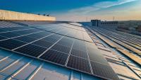 Solar, Wind, Or Water: Which Renewable Energy Is The Most Popular?