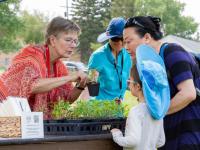 Manitoba gardeners encouraged to donate extra vegetables to Harvest Manitoba