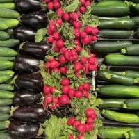 Food Donation and Food Scraps Recycling Law: What NYS Businesses Need to Know