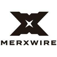MERXWIRE Releases Global Advertising and PR Services Market Analysis Report Exploring AI Trends and Market Opportunities