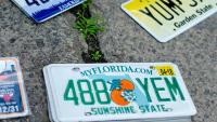 Florida News That Impacts You – September 15th, 2026