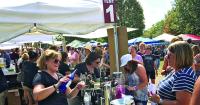 Illinois wineries take center stage at Vintage Illinois Wine Festival this weekend