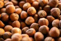 Chilean hazelnut sector projects potential 30 percent production drop due to rain