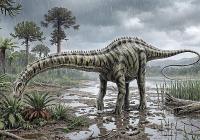Spanish palaeontologists discover first Diplodocus outside North America in Teruel