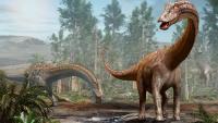 Fossils of iconic long-necked dinosaur Diplodocus found in Europe for first time — and it may have traveled there via land bridge