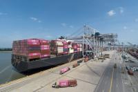 Savannah exports up 4 percent in August