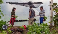Building Colombia’s Nature Economy Could Create Hundreds of Thousands of New Jobs