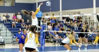 Tech volleyball drops two in Colorado tourney