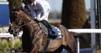 Nicky Henderson raises Bahrain option for Constitution Hill
