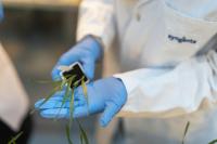 Swiss seed giant Syngenta ‘plans $5bn Hong Kong IPO’
