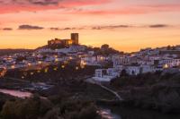 Portuguese winery turns to night harvesting as temperatures hit 40°C