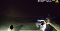 Florida shark-tooth hunt ends with 5 arrests