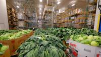 Food insecurity is at a 5-year high across the capital region, according to new report