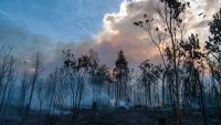 Australia's Queensland turns to record planned burns to shield national parks from bushfire season