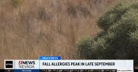 Northern Nevadans face increased allergies during fall