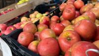 Ohio Farm Bureau releases guide on agritourism for farmers