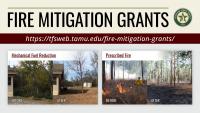 Texas A&M Forest Service awards over $450,000 in Community Wildfire Risk Reduction Grants