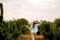 Solo travelers seek value, connection and flexibility
