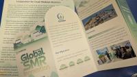 China launches Global Network for SMR Innovation