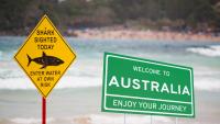 Australian Surfer Describes Paddling Into Danger To Save Shark Attack Victim Who Lost His Leg