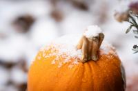 Farmers’ Almanac Reveals When Illinois Could See First Snow