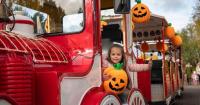 M&D’s launches pumpkin-picking event with unlimited rides for families