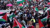 PFLP-linked New Zealand party running on Palestine platform enters election, sparking concern