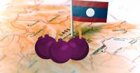 Laos Warns of Lasting Toll at Vientiane Meeting as Cluster Munition Use Rises Worldwide