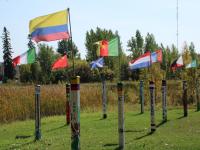 Peace on Earth catching on in Timmins 