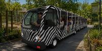 ​Severn Lamb and the changing face of attraction transport