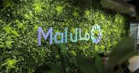 AI start-up Mal carries Middle East FinTech in H1 with mega-funding round