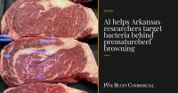 AI helps Arkansas researchers target bacteria behind prematurebeef browning