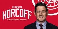 Detroit Red Wings appoint Shawn Horcoff as interim GM