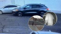 Las Vegas police seek publics help identifying robbery suspects