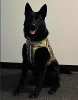 Sand Springs donor provides protective vest for Oregon police K9