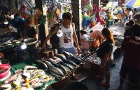 Philippines allocates 60,000 tons of seafood imports ahead of domestic fishing bans