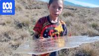 Frost freezes crops in PNG as El Niño takes hold
