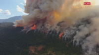 Wildfires are a human rights issue, says commissioner