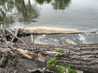 Presence of forever chemicals in the environment threatens human rights, UN expert says