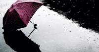 Septembers with the most precipitation in West Virginia since 1895