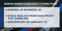 Mandan woman pleads guilty to stealing $304 thousand from non-profit