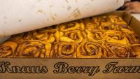 Knaus Berry Farm, famed Miami cinnamon bun spot, announces reopening date