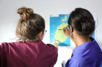 Grenada strengthens disease surveillance with new online national guidelines