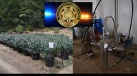 Nearly 6,000 Illegal Cannabis Plants and a Hash Oil Lab Seized in Southern Humboldt Raids