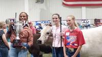 Kansas legislators take to the cattle ring