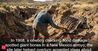 In 1908, a cowboy checking flood damage spotted giant bones in a New Mexico arroyo; the site later helped overturn accepted ideas about America’s earliest inhabitants
