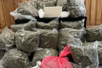 Two Men Arrested in Vienna on Suspicion of Drug Distribution