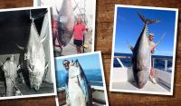 The Biggest Tuna of All Time