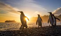 Lindblad Offers Up to $2,000 Air Credit on Select 2027 Expeditions