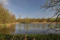 Tender – Geophysical investigations for geothermal exploration in Brabant Massif, Belgium